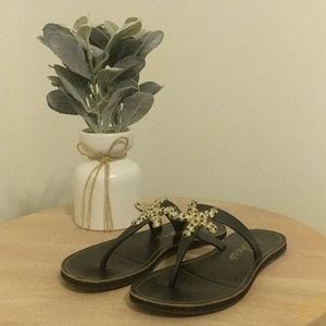Starfish Flipflop
